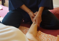 https://www.georgiafarrant.net/files/gimgs/th-115_shiatsu 3 height 250.jpg